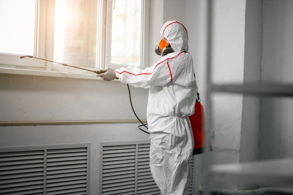 Professional mold remediation services in Mooseheart, IL